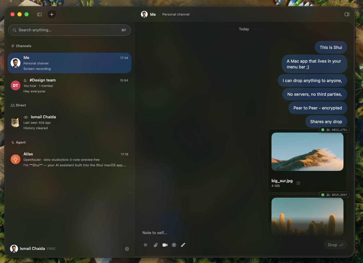 Shui main window with a list of channels, people and agents alongside a personal conversation and shared files